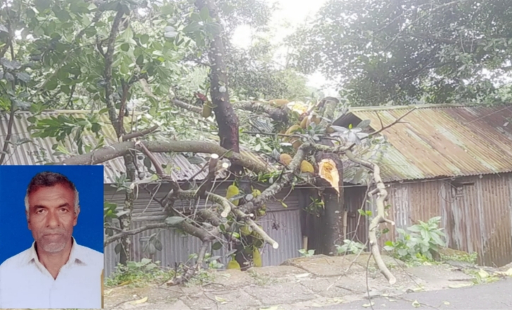 কালবৈশাখী ঝরে লন্ডভন্ড ভেঙ্গে পড়া গাছ কাটতে গিয়ে কাঠ মিস্ত্রীর মৃত্যু